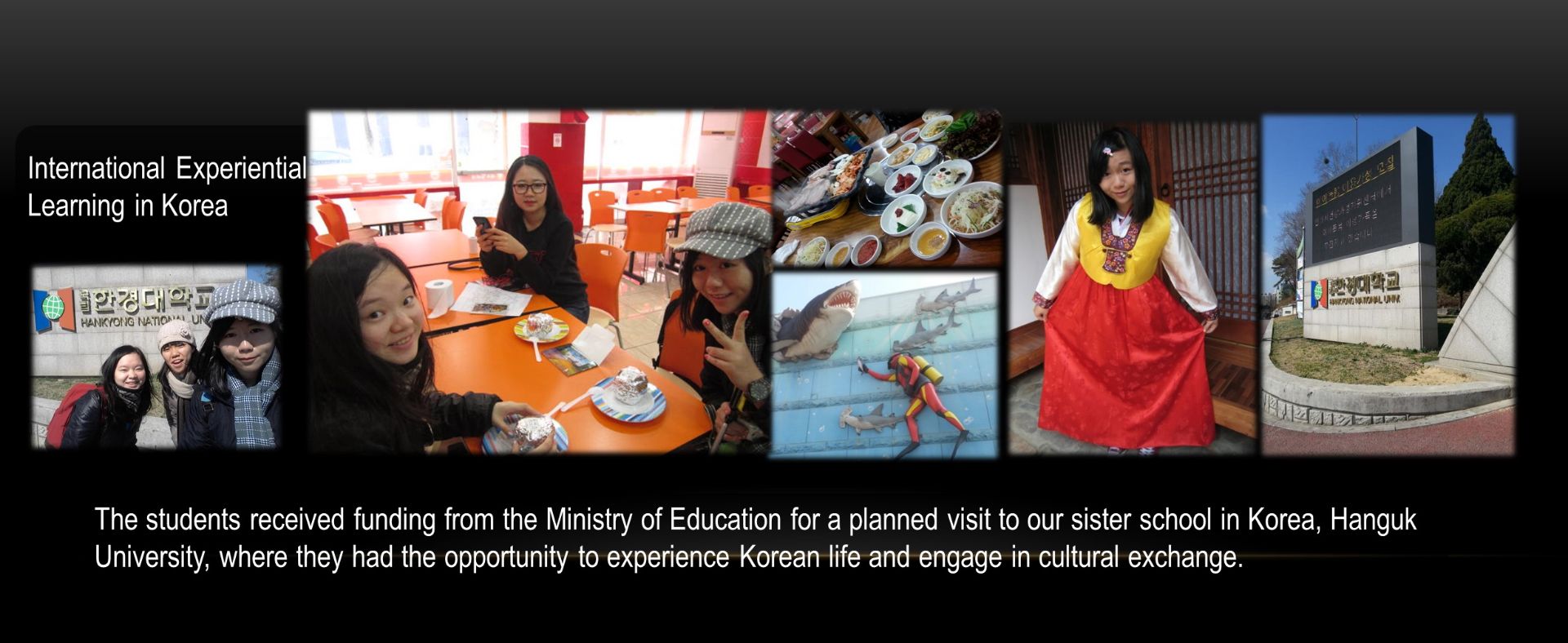 International Experiential Learning in Korea