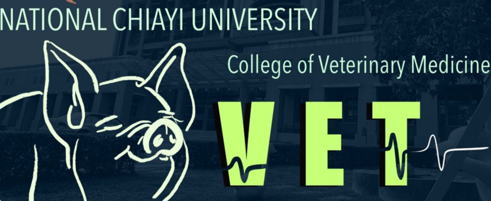 National chiayi university web portal college of veterinary medicine