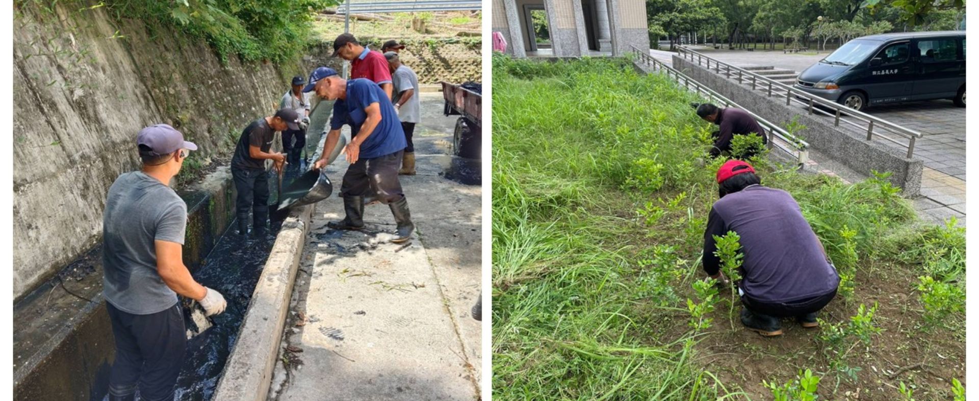 115年7月蘭潭校區環境綠美化