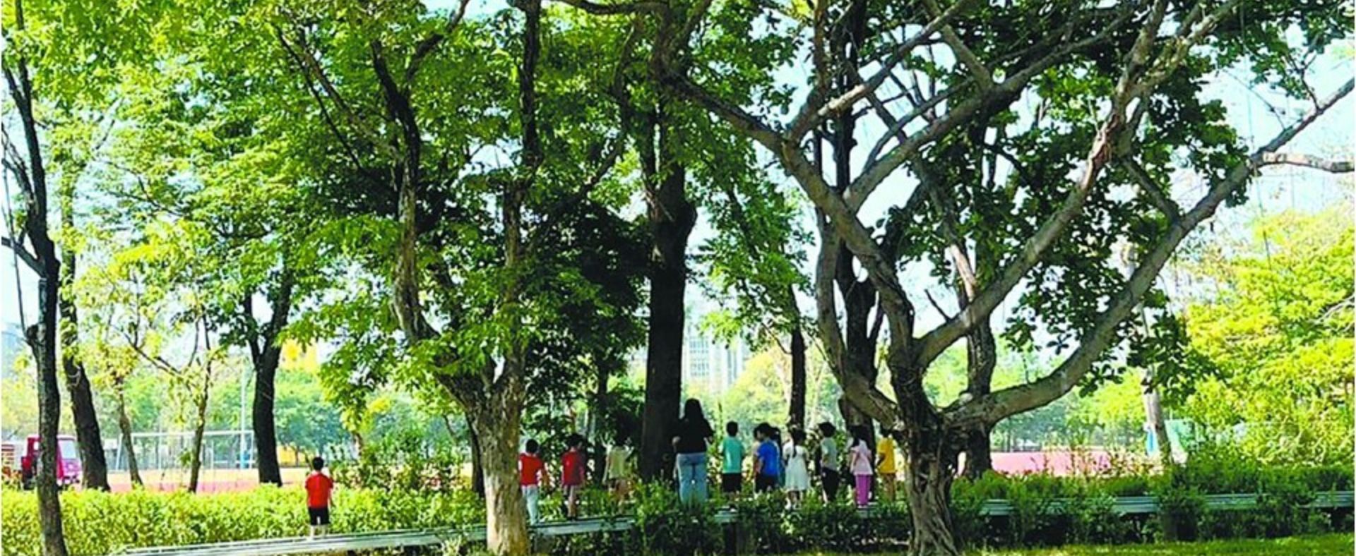 嘉市城市綠美學 打造第三座森林