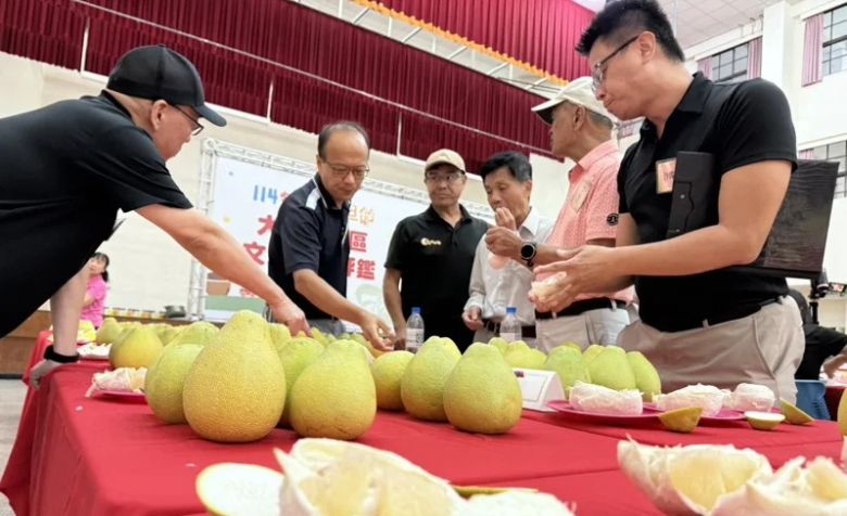 雲林縣斗六市是國內文旦主產地之一，有魚翅文旦美譽，市公所今舉辦文旦品質評鑑比賽，有70位果農報名參加。(聯合新聞網)