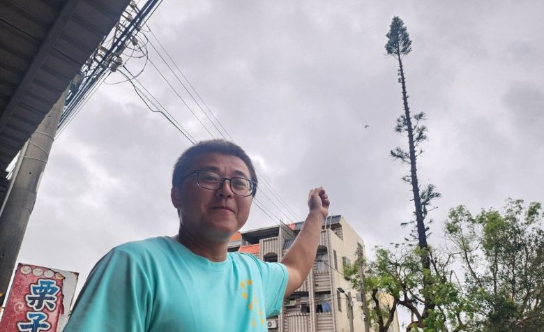 東石鄉代鄭存佑說，沒想到栗子崙這棵杉樹竟然不受強風影響，實在令人稱奇。記者李宗祐／攝影