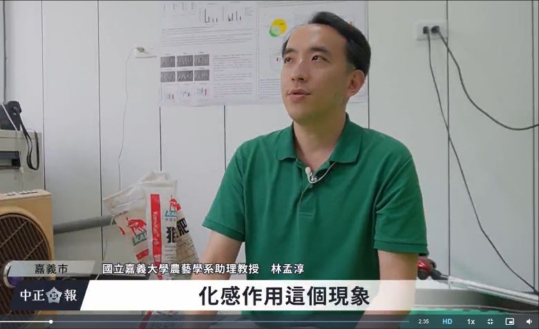 嘉大農藝系林孟淳助理教授以農業廢棄物抑制農田雜草  打造永續循環農業(公民新聞)