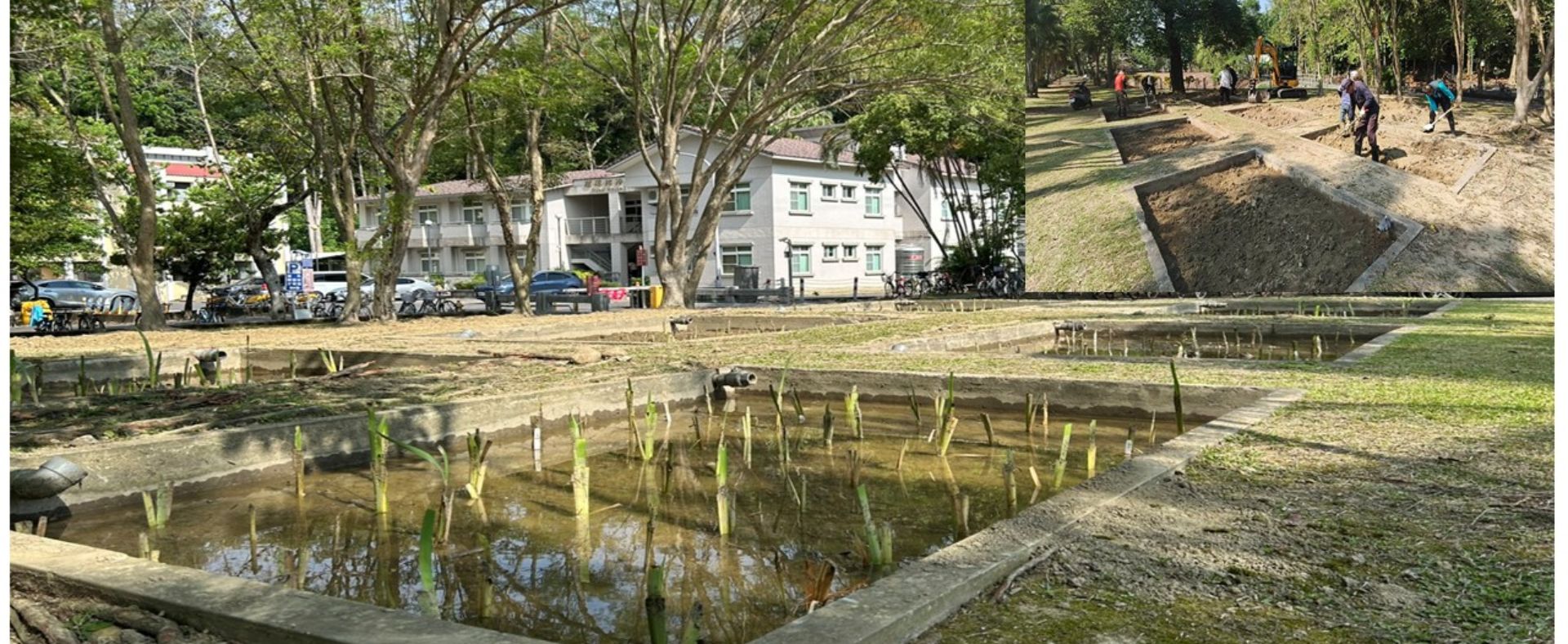 114年5月蘭潭校區環境綠美化
