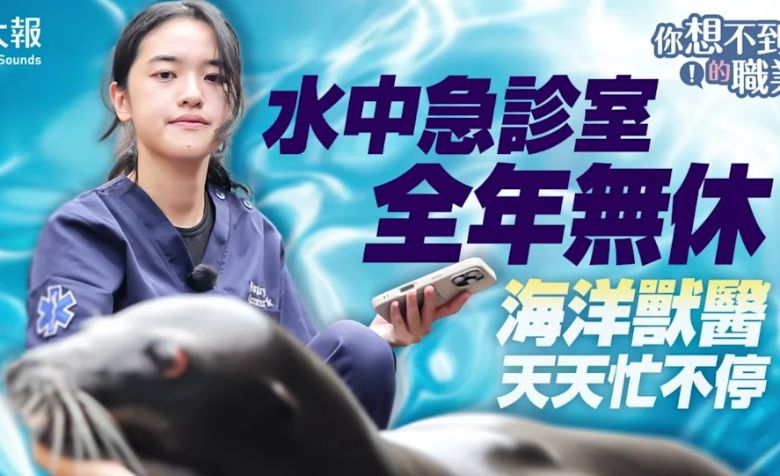 嘉大獸醫系校友莊立亭的海洋獸醫之路-水中急診室全年無休 海洋獸醫天天忙不停