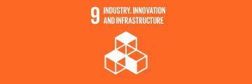SDGs9