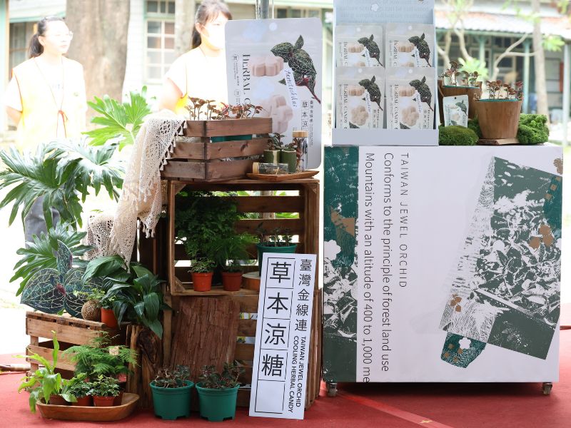 「臺灣金線連草本涼糖」以自然植栽與產品展示呈現森林經濟與在地創新特色。