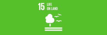 SDGs15