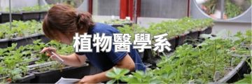 植物醫學系