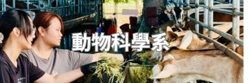 動物科學系