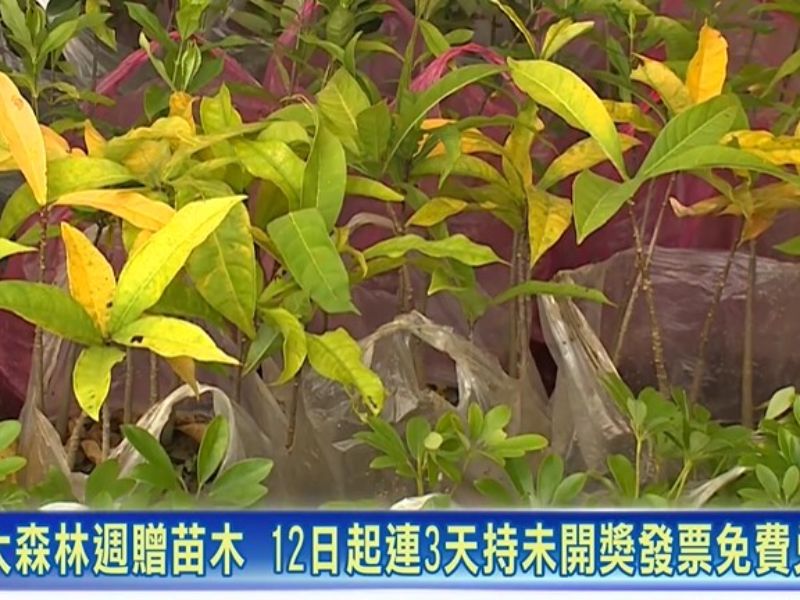 國立嘉義大學