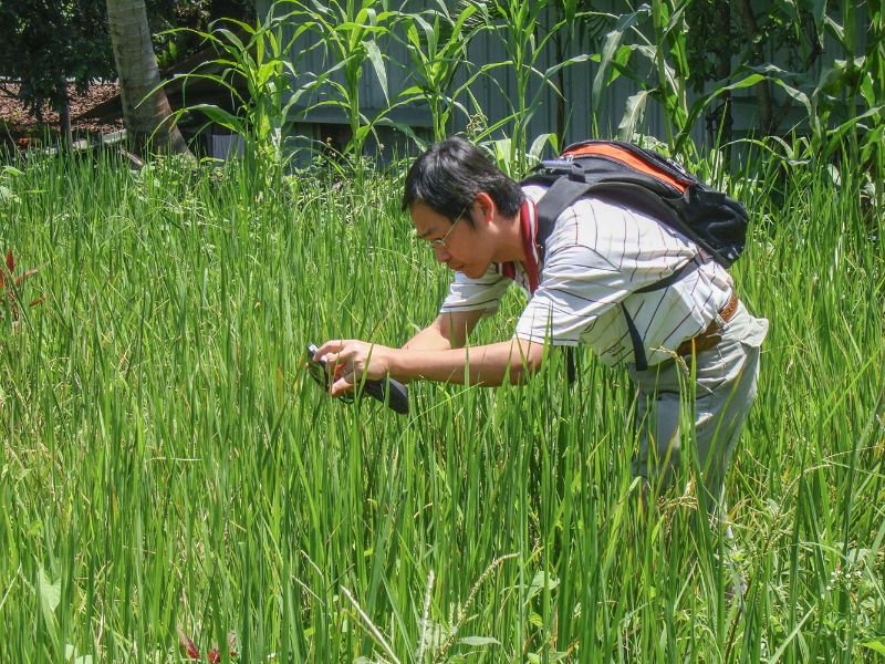 國立嘉義大學