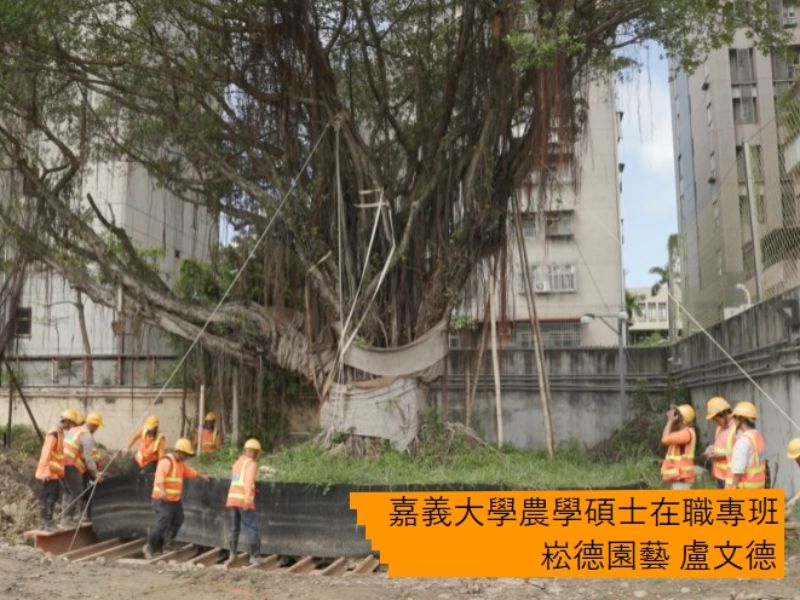 國立嘉義大學