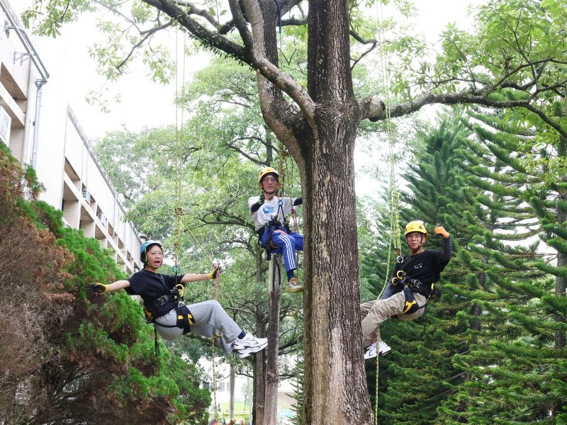 國立嘉義大學