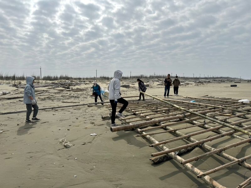 嘉大景觀學系學生淨灘活動，將廢棄蚵棚進行處理後，將廢竹子進行切割整理再利用。(照片由景觀系提供)
