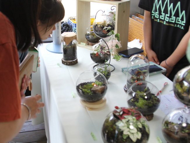 微景觀生態瓶展售。
