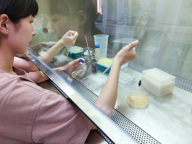 微生物免疫與生物藥學系強調生技理論與實務學用合一，圖中為學生進行金黃色葡萄球菌的抗生素抗藥性試驗。(照片由學院提供)
