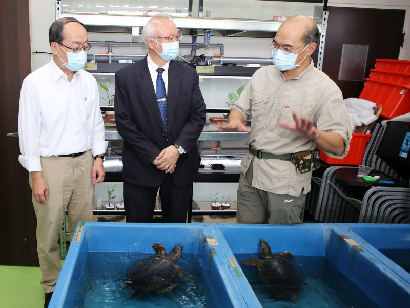嘉大生物資源學系主任許富雄副教授(右)介紹豬鼻龜之習性。