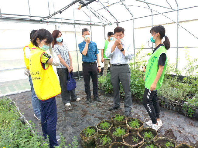 大同技術學院王校長及偕同教師於新民校區香草溫室體驗香草植物自然香氣。