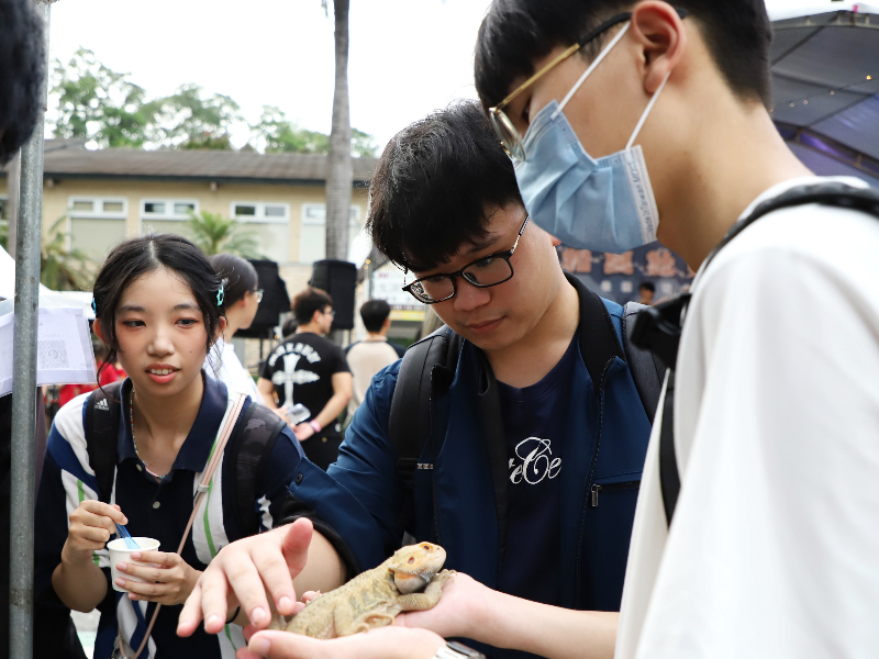 兩棲爬蟲研究社的動物超吸睛。