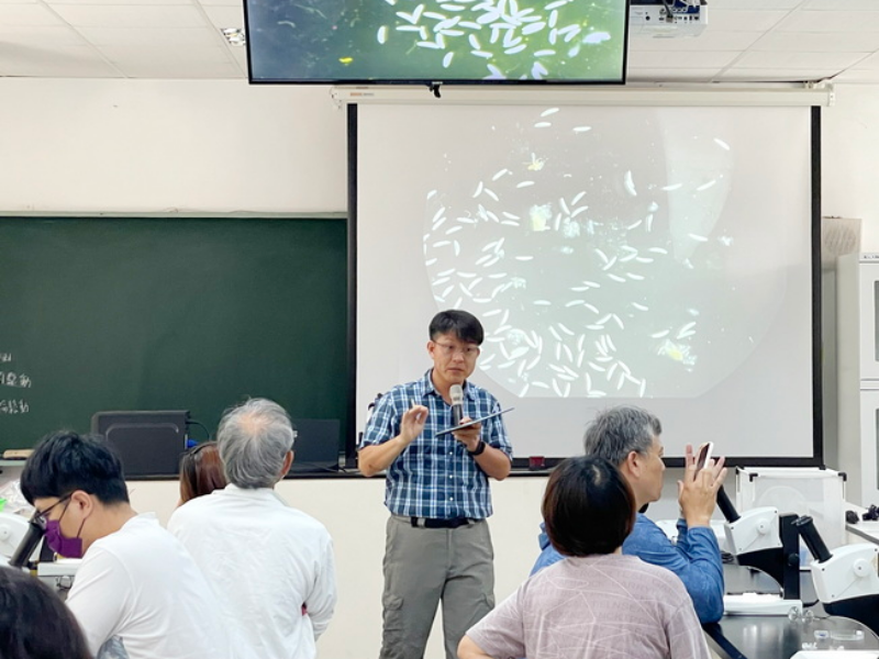 嘉大農學院農業推廣中心林明瑩主任介紹東方果實蠅在果實內卵的形態。