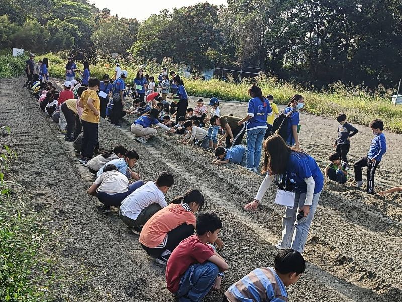 學童栽種有機花椰菜。（照片由侯金日主任提供）
