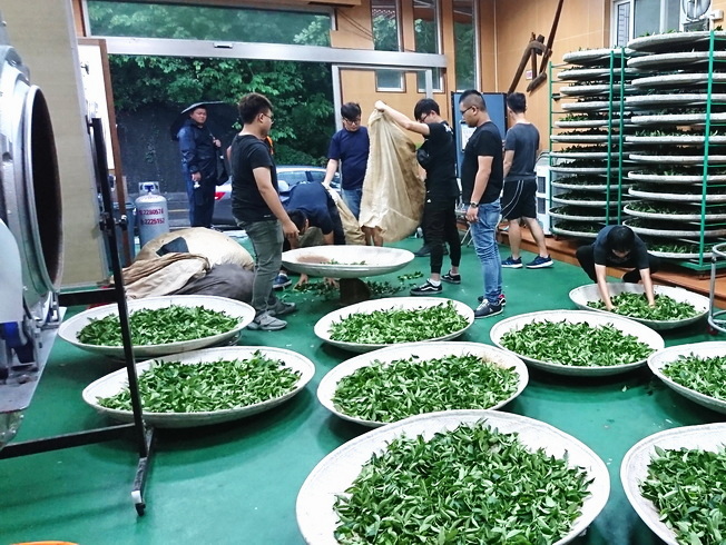 為提高年輕人口農業就業比例，招收農場經營管理公費班，培育理論與實作兼具之未來青農。